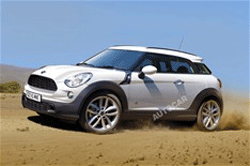 Countryman  MINI